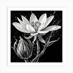 Lotus Flower 25 Art Print