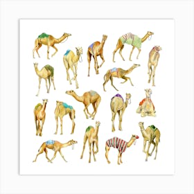 Camels Square Art Print