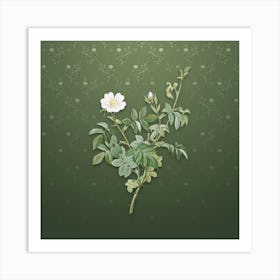 Vintage White Downy Rose Botanical on Lunar Green Pattern n.2398 Art Print