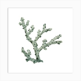 Coral Branch Art Print