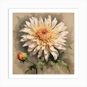 Chrysanthemum 4 Art Print