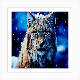 Bobcat in nature winter season Art Print