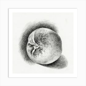 Apple (1812), Jean Bernard Art Print