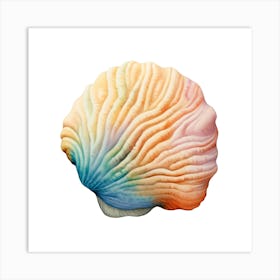 Sea Shell 4 Art Print