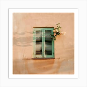 Shuttered Window Art Print