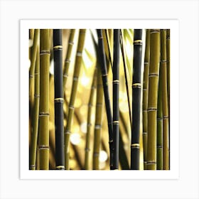 Bamboo Stalks — Stock Photo Art Print