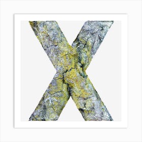 Letter X Alphabet Art Print