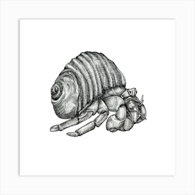 Hermit Crab no. 1 Black and White Ink Illustration 1 Art Print