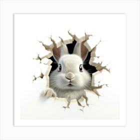 Rabbit Peeking Through A Hole 3 Art Print