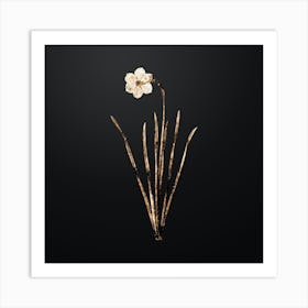 Gold Botanical Narcissus Poeticus on Wrought Iron Black n.2370 Art Print