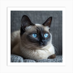 Siamese Cat Art Print