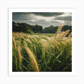 Field Of Wheat 4 Art Print