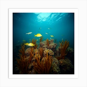 Coral Reef17 Art Print