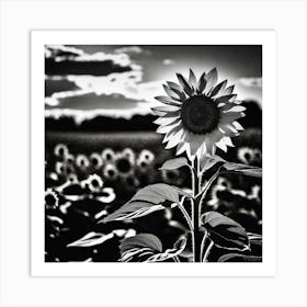 Sunflower In Black And White Art Print