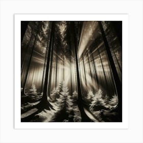 Rays Of Light In The Forest Art Print