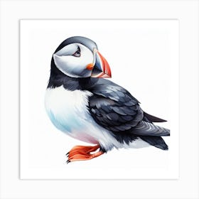 Bird Puffin 3 Art Print