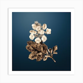 Gold Botanical Oakleaf Hydrangea on Dusk Blue n.3081 Art Print