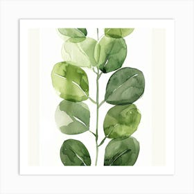 Eucalyptus Leaf Art Print