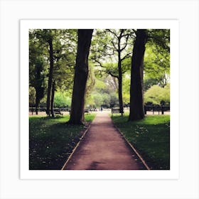 Into The Park Art Print