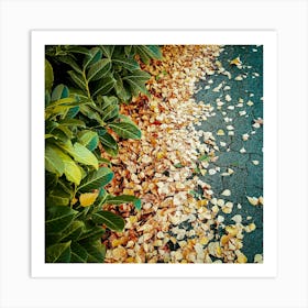 Autumn Leaves On The Ground Art Print