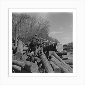 Lumberjack Using Peaveys To Remove Logs From Banks Of Little Fork River, Near Littlefork, Minnesota By Russell Lee 1 Art Print