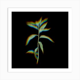 Prism Shift Dayflower Botanical Illustration on Black n.0193 Art Print