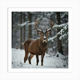 Deer In Winter Forest 1 Art Print