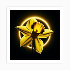 Daffodil 1 Art Print