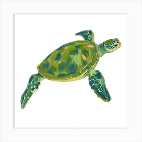 Green Sea Turtle 06 Art Print