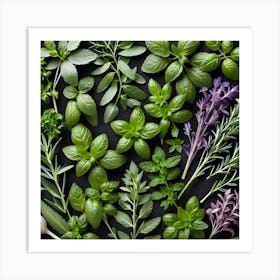 Top View Of Fresh Herbs Art Print