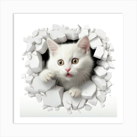 Cat Through A Hole 3 Art Print