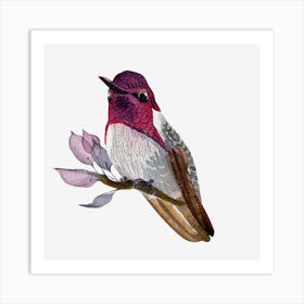 Hummingbird 6 Art Print