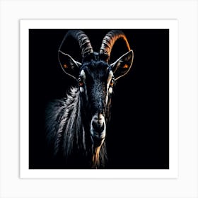 Black Goat Art Print