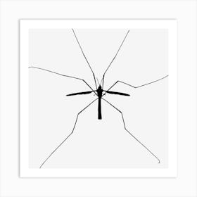 Insect Flying Wings Nature Animal Silhouette Art Print