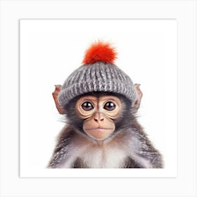 Monkey In Hat Art Print