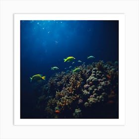 Coral Reef 13 Art Print