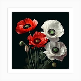 Red and White Poppies Against Black Background Poster