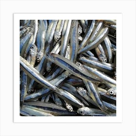 Sardines Art Print