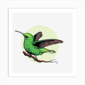 Hummingbird Bird Nature Flying Wildlife Animal Green Feather Tropical Plumage Art Print