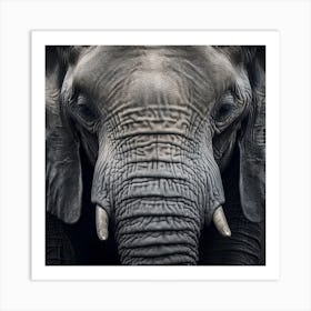 Elephant - Close Up Art Print