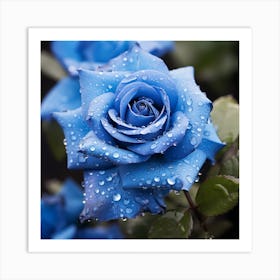 Blue Roses Art Print