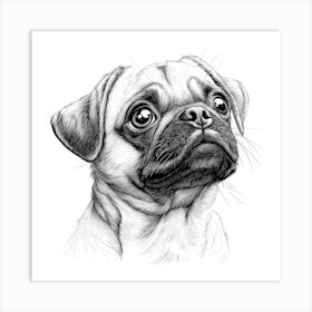 Pug Dog Art Print