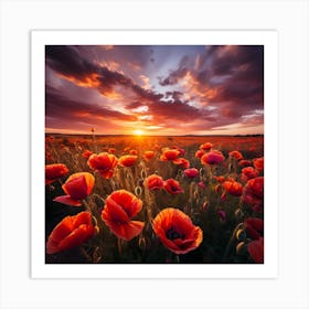 Poppies At Sunset Art Print