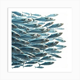 Sardines Going To School Kitchen Art Print