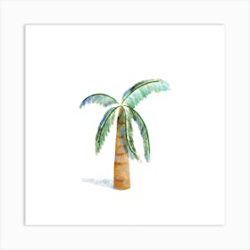 Coconut Tree Plant Illustration Square Art Print