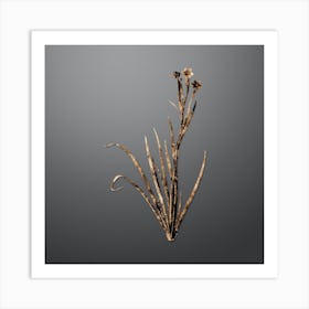 Gold Botanical Bermudiana on Soft Gray Art Print