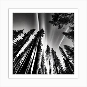 Yosemite Forest Art Print