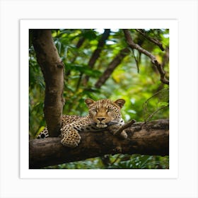 Leopard Resting In Tree Art Print