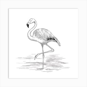 Flamingo 1 Art Print