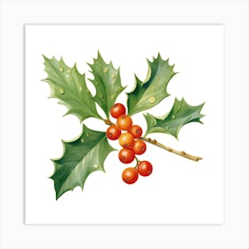 Holly Berries Art Print